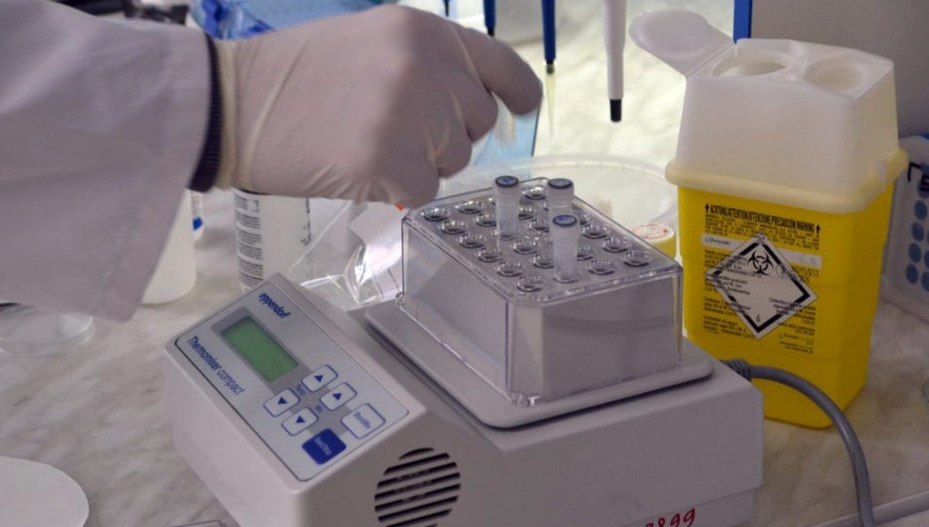 В Красноярске учёные и метрологи работают над вопросами здорового долголетия