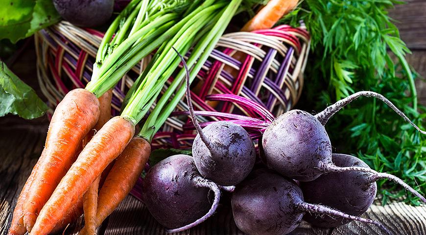 Овощи – это настоящий кладезь витаминов, главное правильно их выбрать