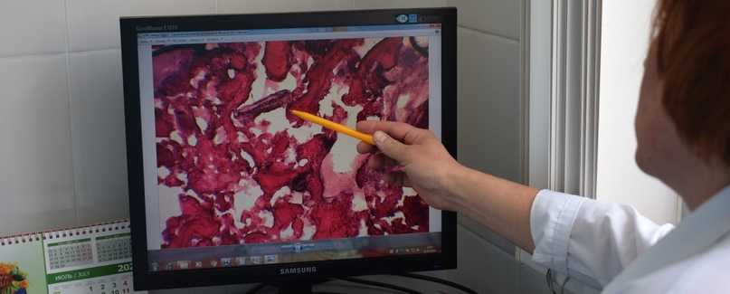 Специалисты Красноярского ЦСМ исследовали тушенку и нашли фальсификат