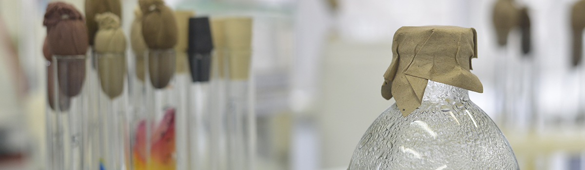 Чистая вода – здоровье на века: проверяем H2O на качество