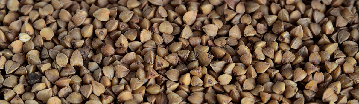 Гречку из красноярских магазинов проверили на безопасность в Москве